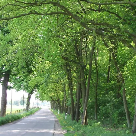 Mueritzstern In Der Hafenresidenz * Waren (Mueritz)
