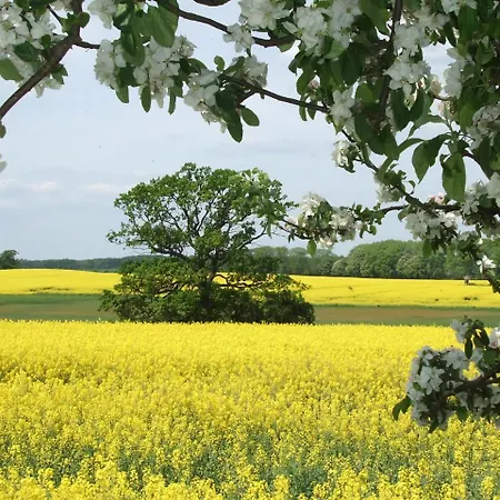 Apartament Mueritzstern In Der Hafenresidenz *