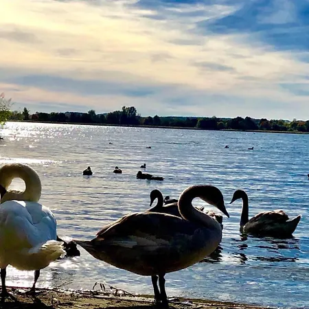 Mueritzstern In Der Hafenresidenz * Waren (Mueritz)